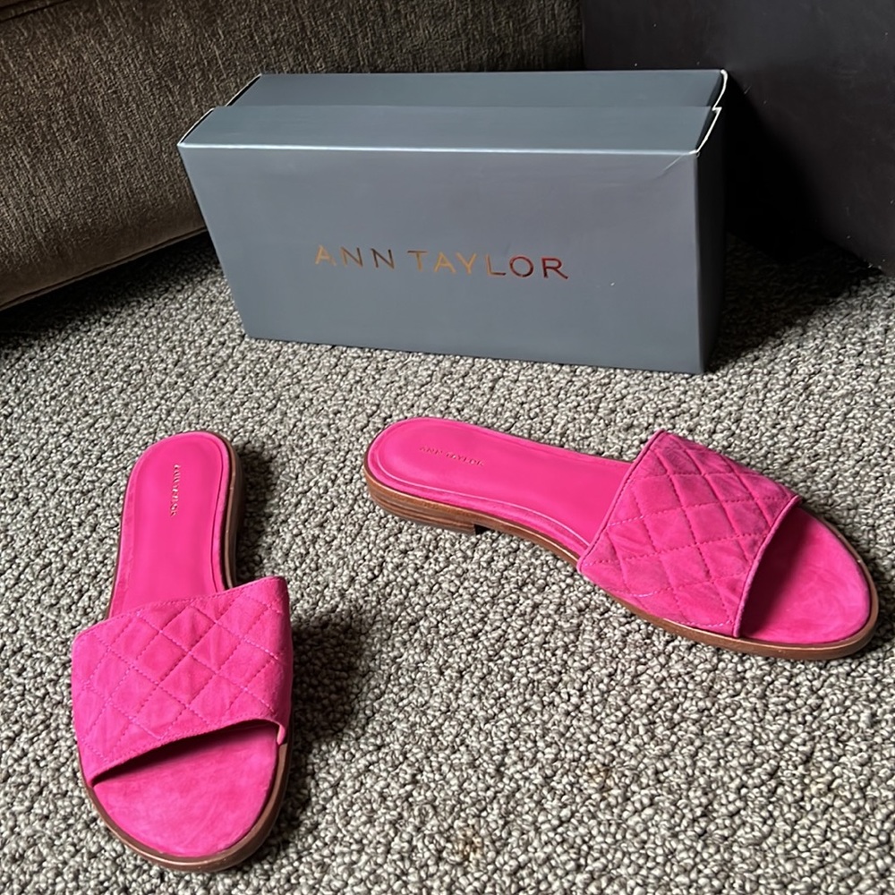 Ann Taylor Lyra Rose Suede Quilted Slide Sandal Size 11M